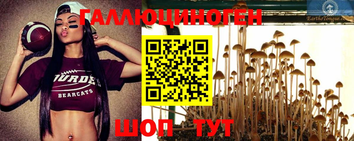 Псилоцибиновые грибы мухоморы  Вход с VPN  Прохладный 