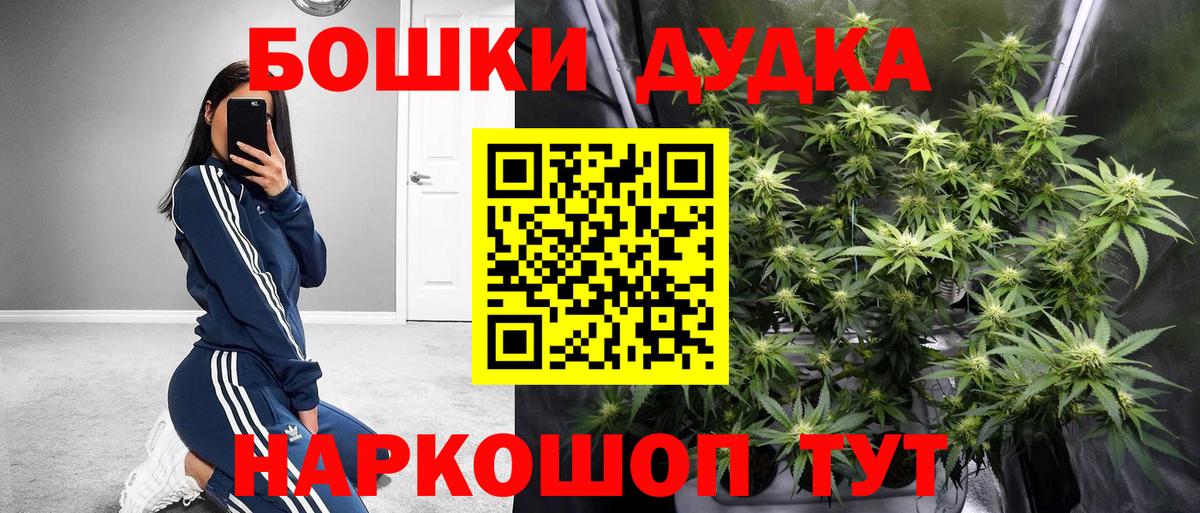 Марихуана SATIVA & INDICA Прохладный